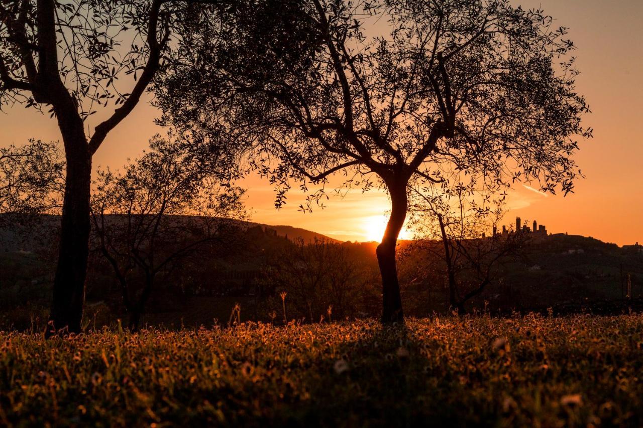 Agriturismo Il Segreto Di Pietrafitta San Gimignano Extérieur photo